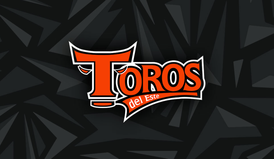 Toros del Este